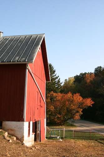 barn in AM light 9-12