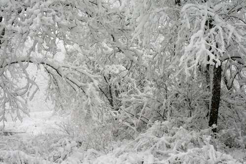 all snow 12-20-12
