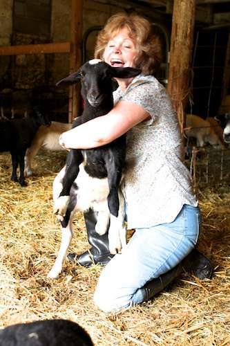 Lady Baa Baa 5.31