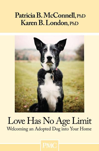 Love Has No Age Limit eBook Version