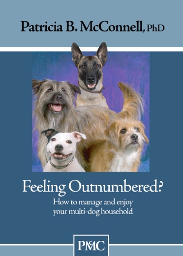 Feeling Outnumbered? DVD
