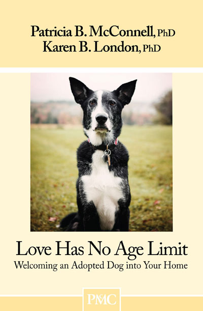 Love Has No Age Limit