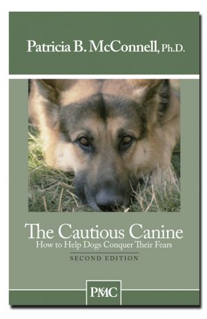 The Cautious Canine
