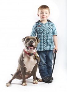 pit bull with male child FINAL
