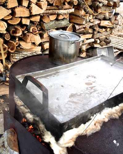 sap boiling