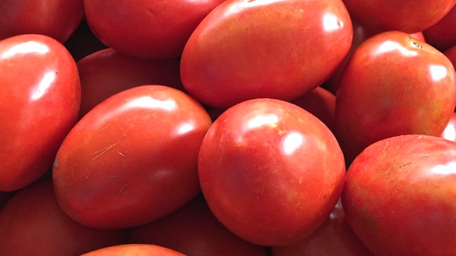 tomatoes 2015