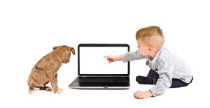 Boy points finger at the screen of laptop sitting with a puppy isolated on white background