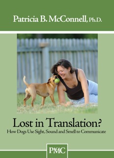 Lost In Translation DVD